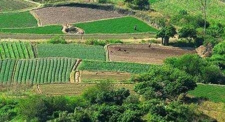 ũ�������ǣ����������������լ���غͳа��ؾͲ��������