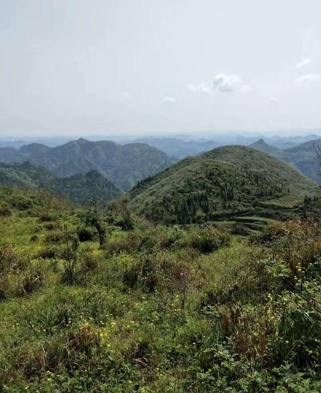 ���ڵ������˶�������������ɽ