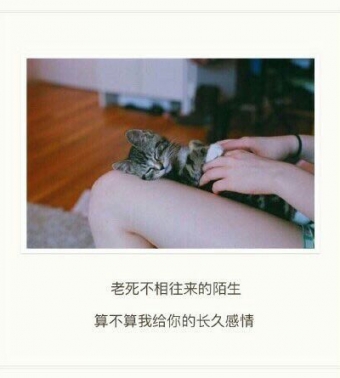 㲻Ķϲ