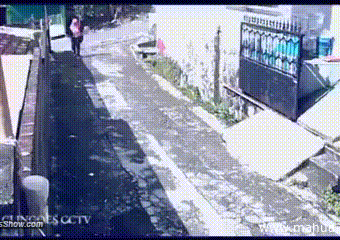 Цgifͼ