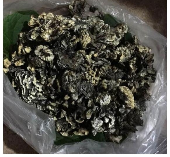 ������ũ��������Ǻã�������ˬ�������£���ʳҲ������