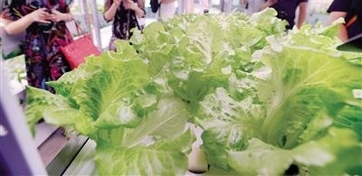 �����ˣ����������ľ����ɸ����Ĵ��