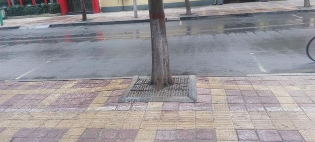����ֵ�����