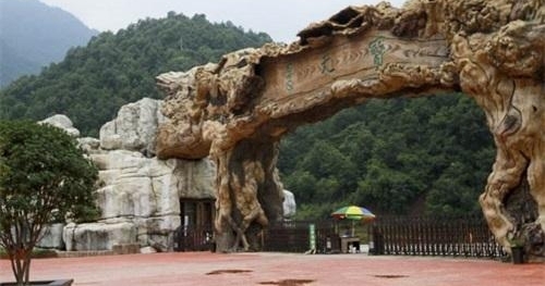 �������籦���������ν硱���족 ר�ҽ���������