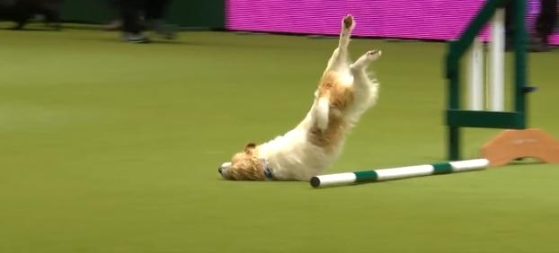 տʼͲҵһӣȴйڷ׷ֽк