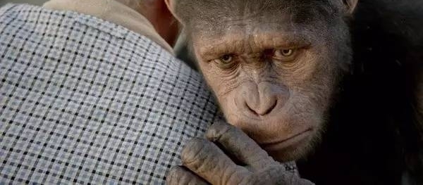 艾推荐 未来几周重点影片推介:《赛车总动员3》《极盗车神》《星际特工》