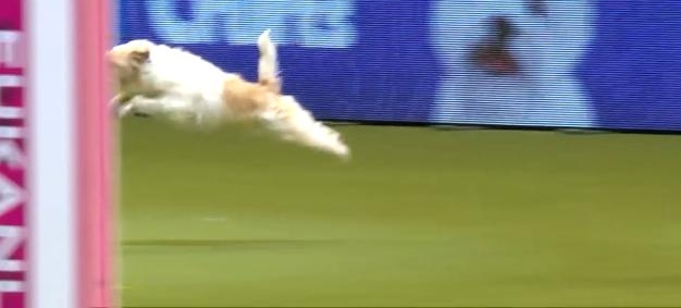 տʼͲҵһӣȴйڷ׷ֽк