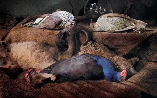 ��Щ�����ա������ģ���Ӱʦ��ʬ����ϲ���