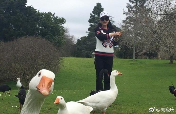 61岁刘晓庆游山玩水喂天鹅 活泼得像个小孩子