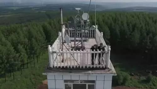 Ӣ��С�絽�ӱ������ӱ��� �������ջ���һ�������Ĺ���
