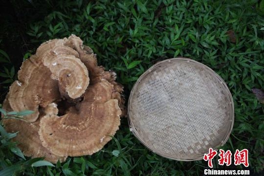 �����ն��������ؾ���Ģ�� ��С���������ܳ���1.8��