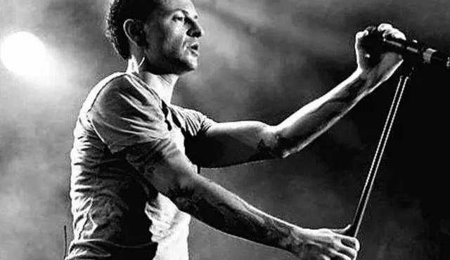 ֿϹ԰һ׸裬ѳΪ ...