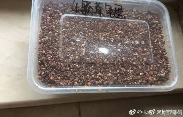 ���淨 ��ɽһ�������ڹ�