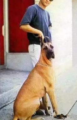 李小龙创造了9大世界记录