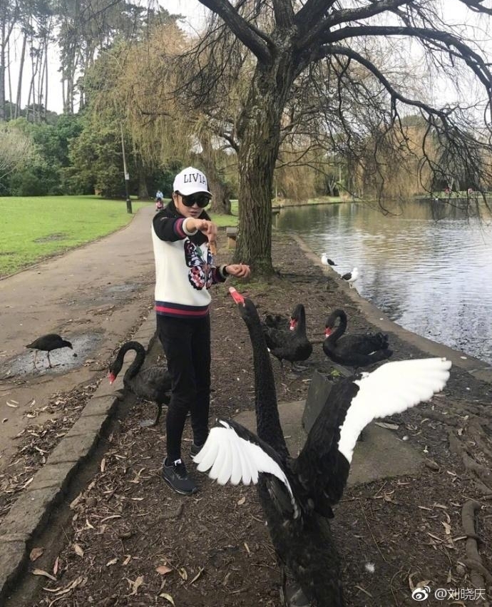 61岁刘晓庆游山玩水喂天鹅 活泼得像个小孩子