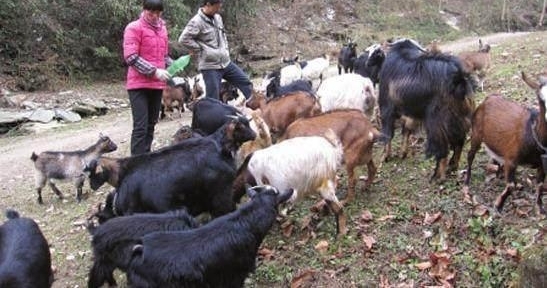 �������춪��׽��������׺�ȴ�ܺ��£��᲻�ᱻ����׷��