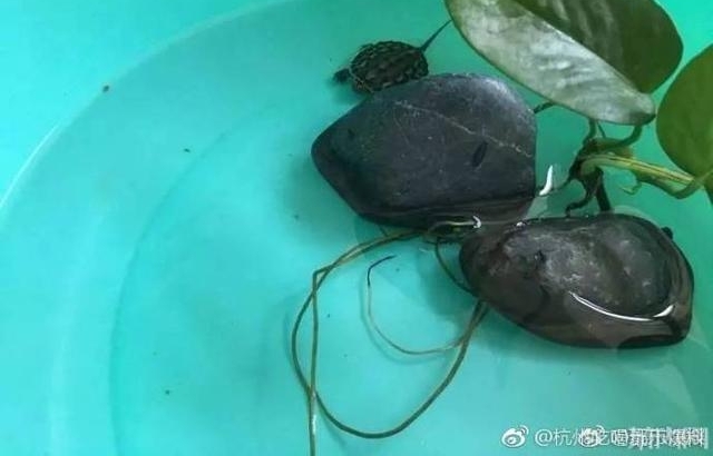 ���淨 ��ɽһ�������ڹ�