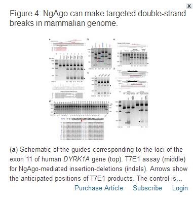 �������Ӧ�������ػ���༭���ģ���������