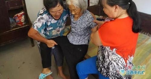 �˻ư�鶴壺���ֵܷ������չ��ر�ĸ�״��ѻ�