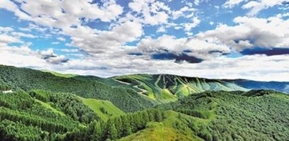 �żҿڳ�������ɭ�����Ŀǰ�ѳ���192��Ķ