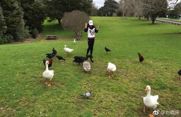 61岁刘晓庆游山玩水喂天鹅 活泼得像个小孩子