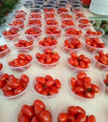 �ɶ���ѧ�ٰ�����ϴ�����Ϊ��Уѧ������