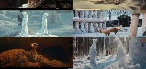 《黄皮子坟》收官,我更愿意将其看做一部实验作品