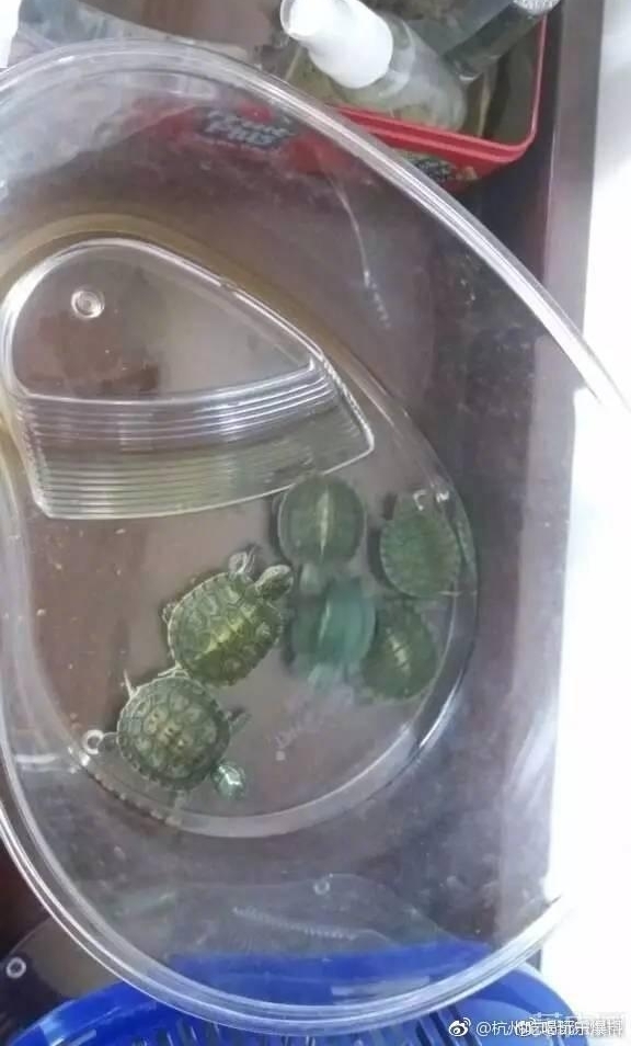 ���淨 ��ɽһ�������ڹ�