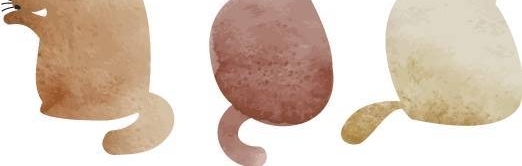 ̨ҳֿϹ԰IridescentǾ