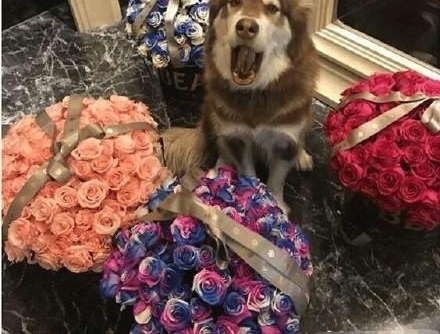 ��Ϧ��˼���Ϳɿ�õ�壬�ɿ����˼��£����׵�������