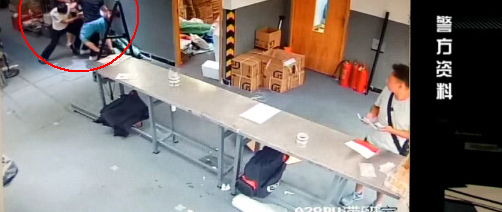 ��Ʒ��αװ�����ɿ�ݷ��� ϸ�Ŀ��С�緢��è�����ƶ�Ʒ��