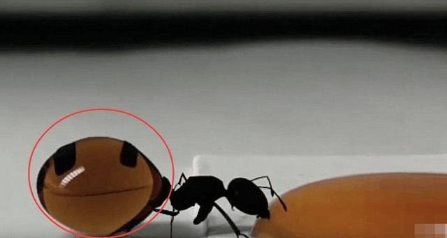 ���Ӹ��������Ϻȷ��ۣ����������棬���˸о�����˼��
