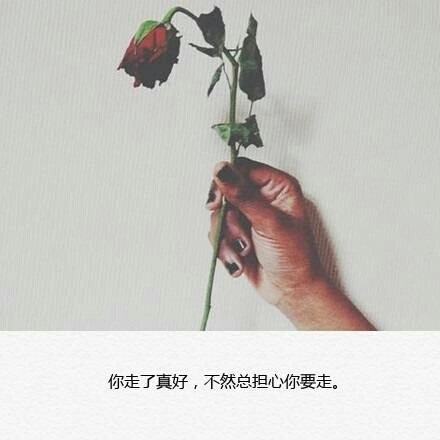 Ը㹲ƻ裬¡
