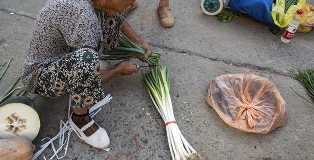 8Ѯ�������������Ĳˡ� ��Ҷ�е��ٳ��� �����Ĳ�Ǯ����������