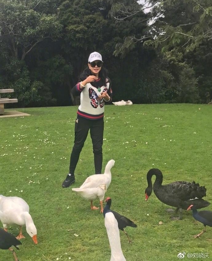 61岁刘晓庆游山玩水喂天鹅 活泼得像个小孩子