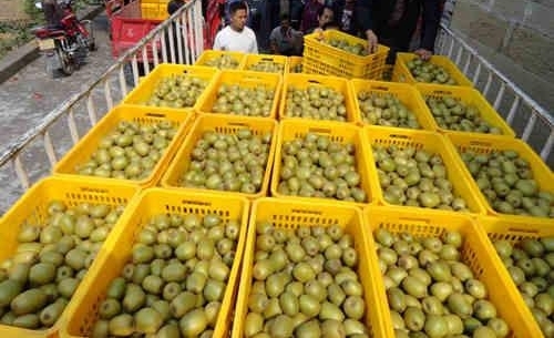 ��Ϫ������⨺��ҵ����ƽ�����ı�����