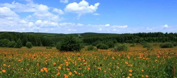 Ӣ��С�絽�ӱ������ӱ��� �������ջ���һ�������Ĺ���