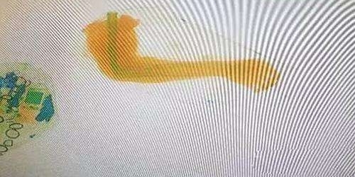 �������ӹ�����, ���ﱻɨ����һֻ�֡��Ż�����Ա��