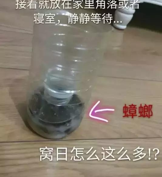 Ů������ȡ��6����棡��������ǵģ�����һ�н��������������