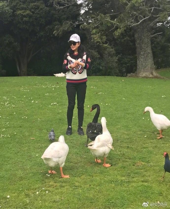 61岁刘晓庆游山玩水喂天鹅 活泼得像个小孩子