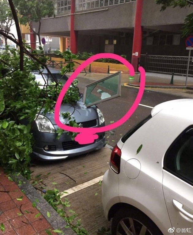 翁虹爱车遭遇台风被毁 提醒大家出行注意安全