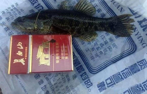 С��ӱߵ���һ���磬�Ϲ���ȫ�����ֹ��㣬�������