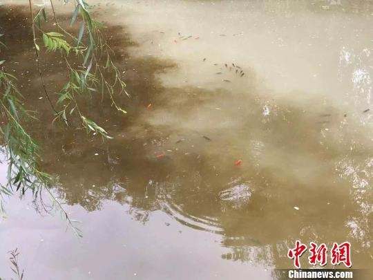 �ٷ���Ӧ�����ų�ˮԴ��＂ţ�̳�＂:�����ˮɫͻ��