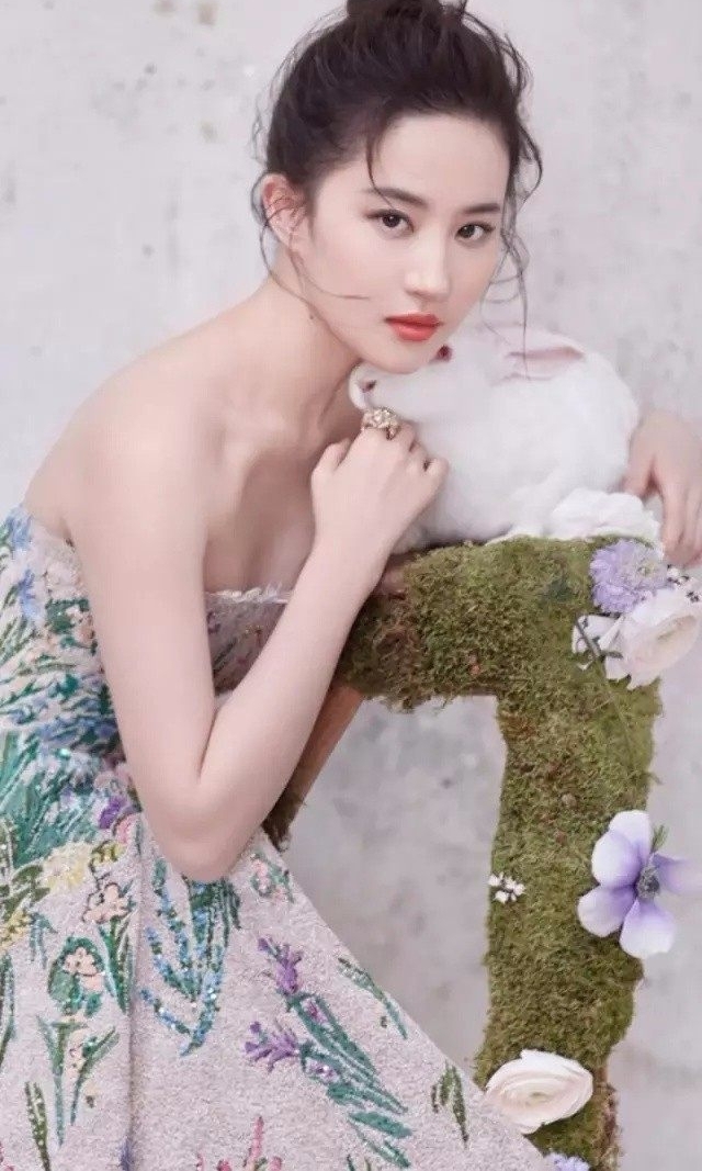 娱乐圈十大最干净女星,第一名现在很少有人认识了!