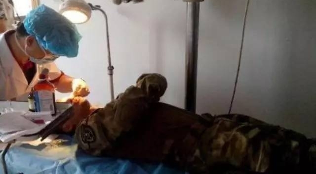 ⾩ΪĵӰѺӣ۽12ǿӾװ