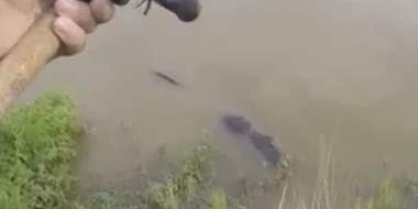 С�ﻧ��������㣬�ձ������ϸˣ��������ϰ��к�������;��ܣ�