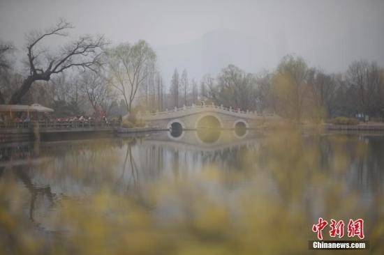 ������:�����ý��������򼽴�����Ⱦ�ۺ���������ս