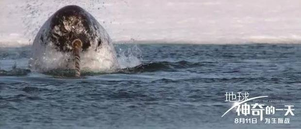 Ӱ嵥2017·ݵӰ嵥ע