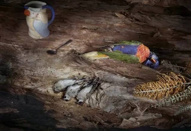 ��Щ�����ա������ģ���Ӱʦ��ʬ����ϲ���