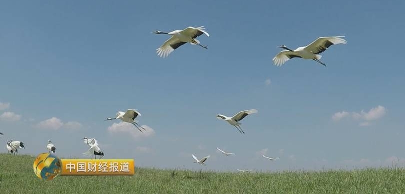 ��Щ���������ˣ����ҽ��ڳ�14%½�ع������������